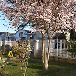Mirella\'s House